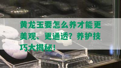 黄龙玉要怎么养才能更美观、更通透？养护技巧大揭秘！