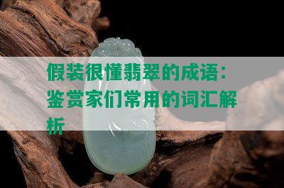 假装很懂翡翠的成语：鉴赏家们常用的词汇解析