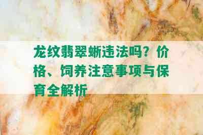 龙纹翡翠蜥违法吗？价格、饲养注意事项与保育全解析