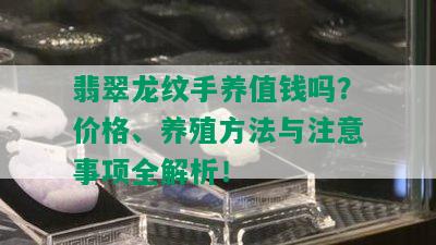 翡翠龙纹手养值钱吗？价格、养殖方法与注意事项全解析！