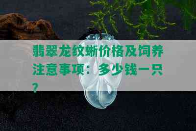 翡翠龙纹蜥价格及饲养注意事项：多少钱一只？