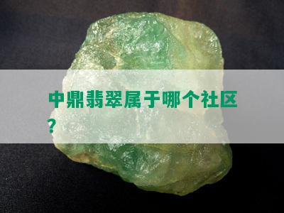 中鼎翡翠属于哪个社区？