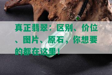 真正翡翠：区别、价位、图片、原石，你想要的都在这里！