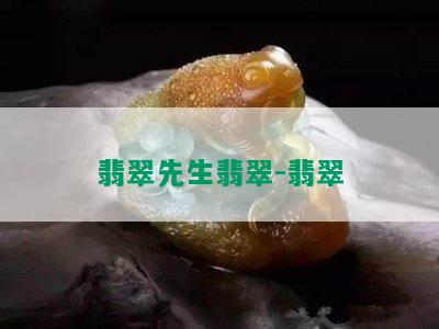 翡翠先生翡翠-翡翠