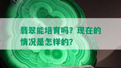 翡翠能培育吗？现在的情况是怎样的？