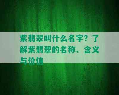 紫翡翠叫什么名字？了解紫翡翠的名称、含义与价值