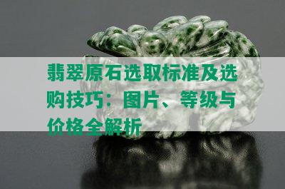 翡翠原石选取标准及选购技巧：图片、等级与价格全解析