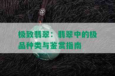 极致翡翠：翡翠中的极品种类与鉴赏指南