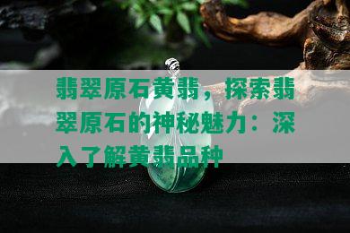 翡翠原石黄翡，探索翡翠原石的神秘魅力：深入了解黄翡品种