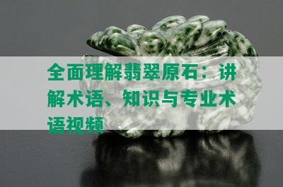 全面理解翡翠原石：讲解术语、知识与专业术语视频