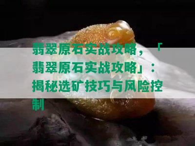 翡翠原石实战攻略，「翡翠原石实战攻略」：揭秘选矿技巧与风险控制