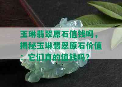 玉琳翡翠原石值钱吗，揭秘玉琳翡翠原石价值：它们真的值钱吗？