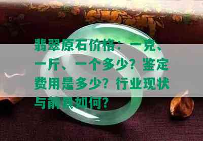 翡翠原石价格：一克、一斤、一个多少？鉴定费用是多少？行业现状与前景如何？