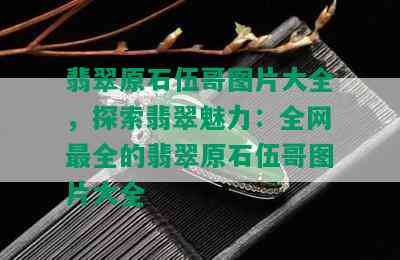 翡翠原石伍哥图片大全，探索翡翠魅力：全网最全的翡翠原石伍哥图片大全