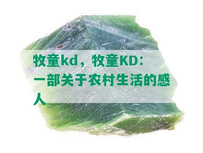 牧童kd，牧童KD：一部关于农村生活的感人