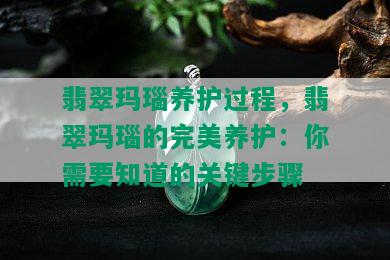 翡翠玛瑙养护过程，翡翠玛瑙的完美养护：你需要知道的关键步骤