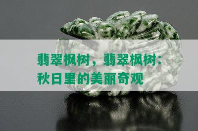 翡翠枫树，翡翠枫树：秋日里的美丽奇观