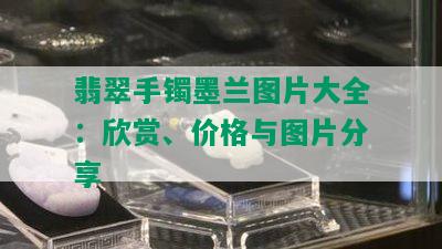 翡翠手镯墨兰图片大全：欣赏、价格与图片分享