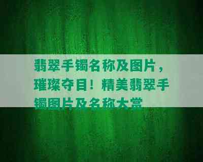 翡翠手镯名称及图片，璀璨夺目！精美翡翠手镯图片及名称大赏