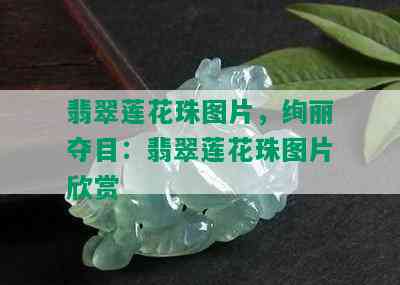 翡翠莲花珠图片，绚丽夺目：翡翠莲花珠图片欣赏