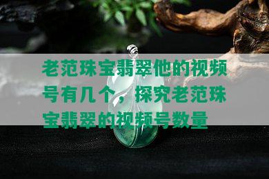 老范珠宝翡翠他的视频号有几个，探究老范珠宝翡翠的视频号数量