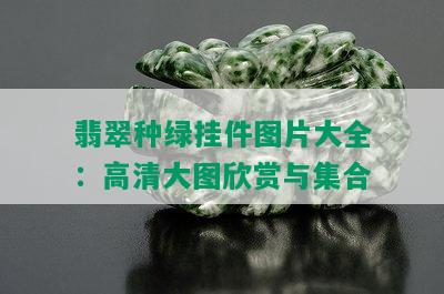 翡翠种绿挂件图片大全：高清大图欣赏与集合