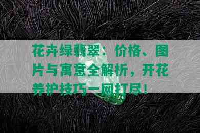 花卉绿翡翠：价格、图片与寓意全解析，开花养护技巧一网打尽！