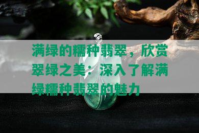 满绿的糯种翡翠，欣赏翠绿之美：深入了解满绿糯种翡翠的魅力