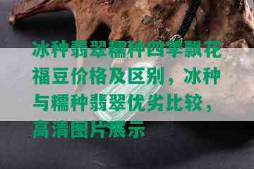 冰种翡翠糯种四季飘花福豆价格及区别，冰种与糯种翡翠优劣比较，高清图片展示