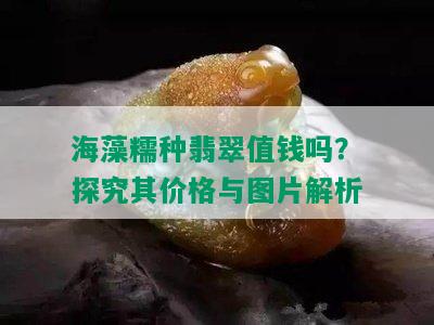 海藻糯种翡翠值钱吗？探究其价格与图片解析