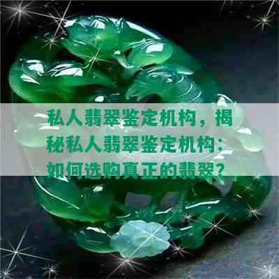 私人翡翠鉴定机构，揭秘私人翡翠鉴定机构：如何选购真正的翡翠？