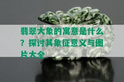 翡翠大象的寓意是什么？探讨其象征意义与图片大全