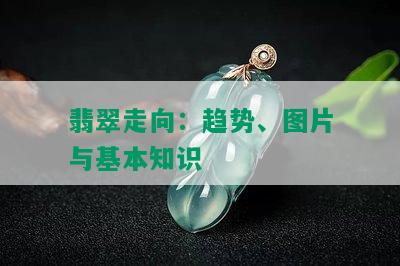 翡翠走向：趋势、图片与基本知识