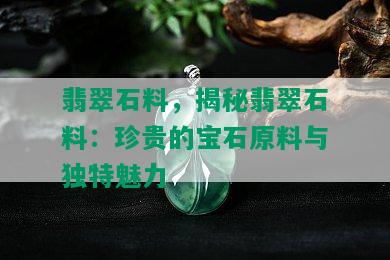 翡翠石料，揭秘翡翠石料：珍贵的宝石原料与独特魅力