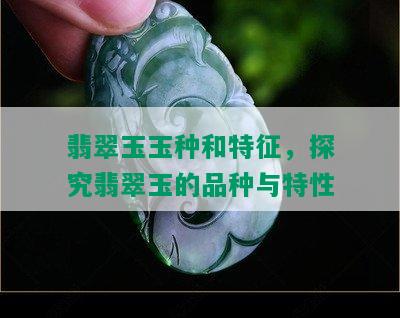 翡翠玉玉种和特征，探究翡翠玉的品种与特性