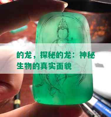 的龙，探秘的龙：神秘生物的真实面貌