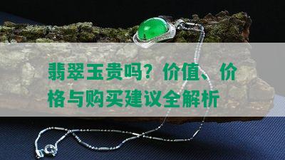 翡翠玉贵吗？价值、价格与购买建议全解析