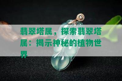 翡翠塔属，探索翡翠塔属：揭示神秘的植物世界