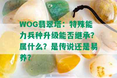 WOG翡翠塔：特殊能力兵种升级能否继承？属什么？是传说还是易养？