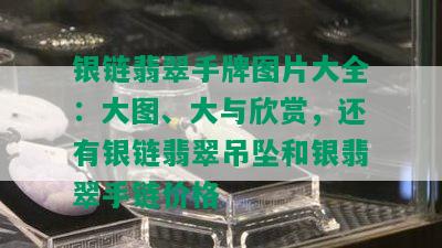 银链翡翠手牌图片大全：大图、大与欣赏，还有银链翡翠吊坠和银翡翠手链价格