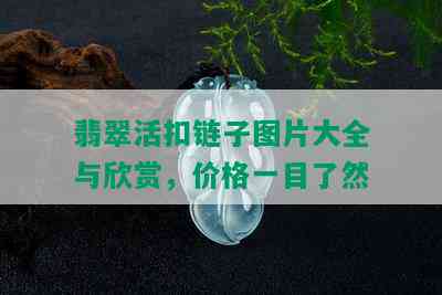 翡翠活扣链子图片大全与欣赏，价格一目了然