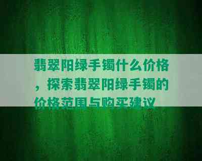 翡翠阳绿手镯什么价格，探索翡翠阳绿手镯的价格范围与购买建议