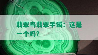 翡翠鸟翡翠手镯：这是一个吗？