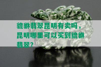 貔貅翡翠昆明有卖吗，昆明哪里可以买到貔貅翡翠？