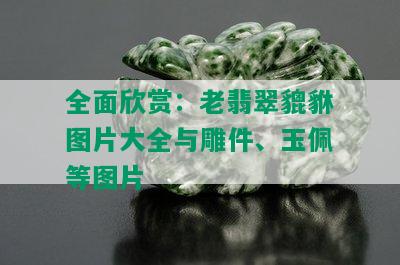 全面欣赏：老翡翠貔貅图片大全与雕件、玉佩等图片