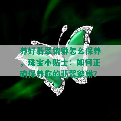 养好翡翠貔貅怎么保养，珠宝小贴士：如何正确保养你的翡翠貔貅？