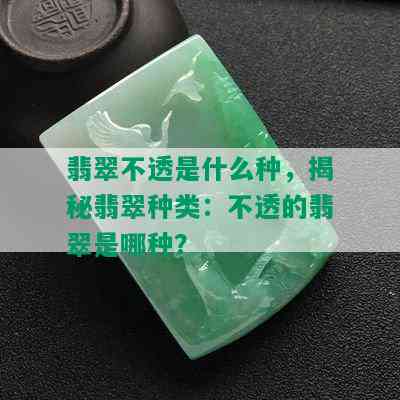 翡翠不透是什么种，揭秘翡翠种类：不透的翡翠是哪种？