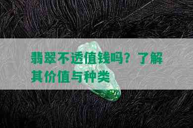 翡翠不透值钱吗？了解其价值与种类