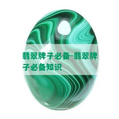 翡翠牌子必备-翡翠牌子必备知识