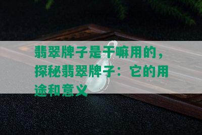 翡翠牌子是干嘛用的，探秘翡翠牌子：它的用途和意义